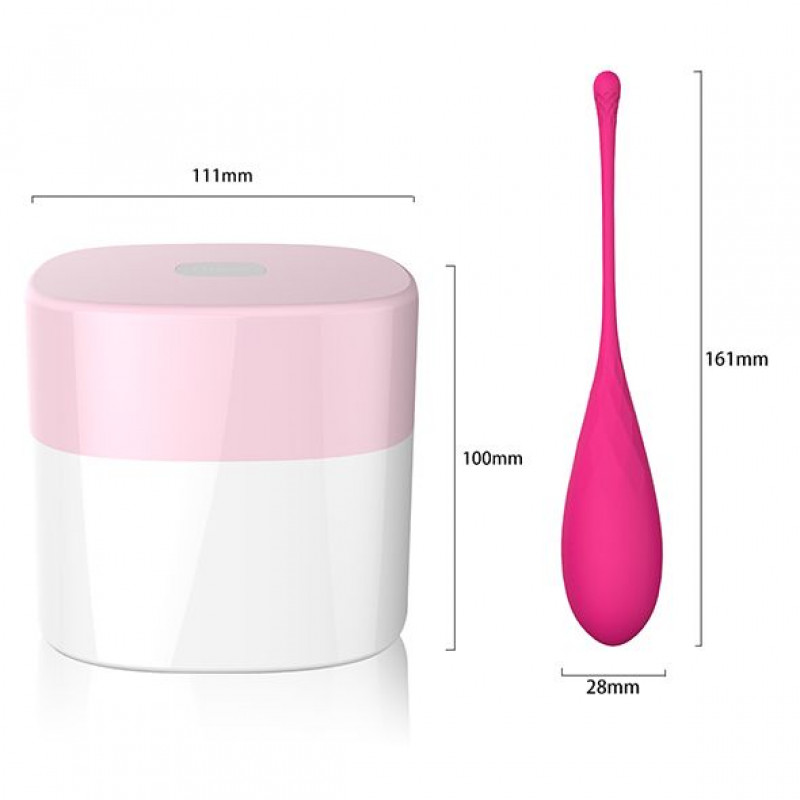 Набор из 6 вагинальных шариков FeelzToys FemmeFit Pelvic Muscle Training Set 6 pcs