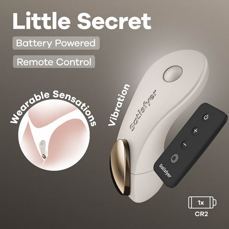 Вибратор в трусики серый с пультом ДУ Satisfyer Little Secret
